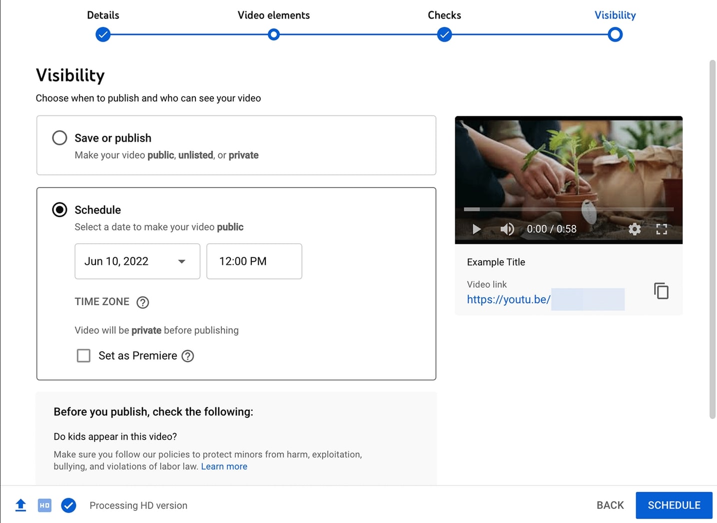 publish video