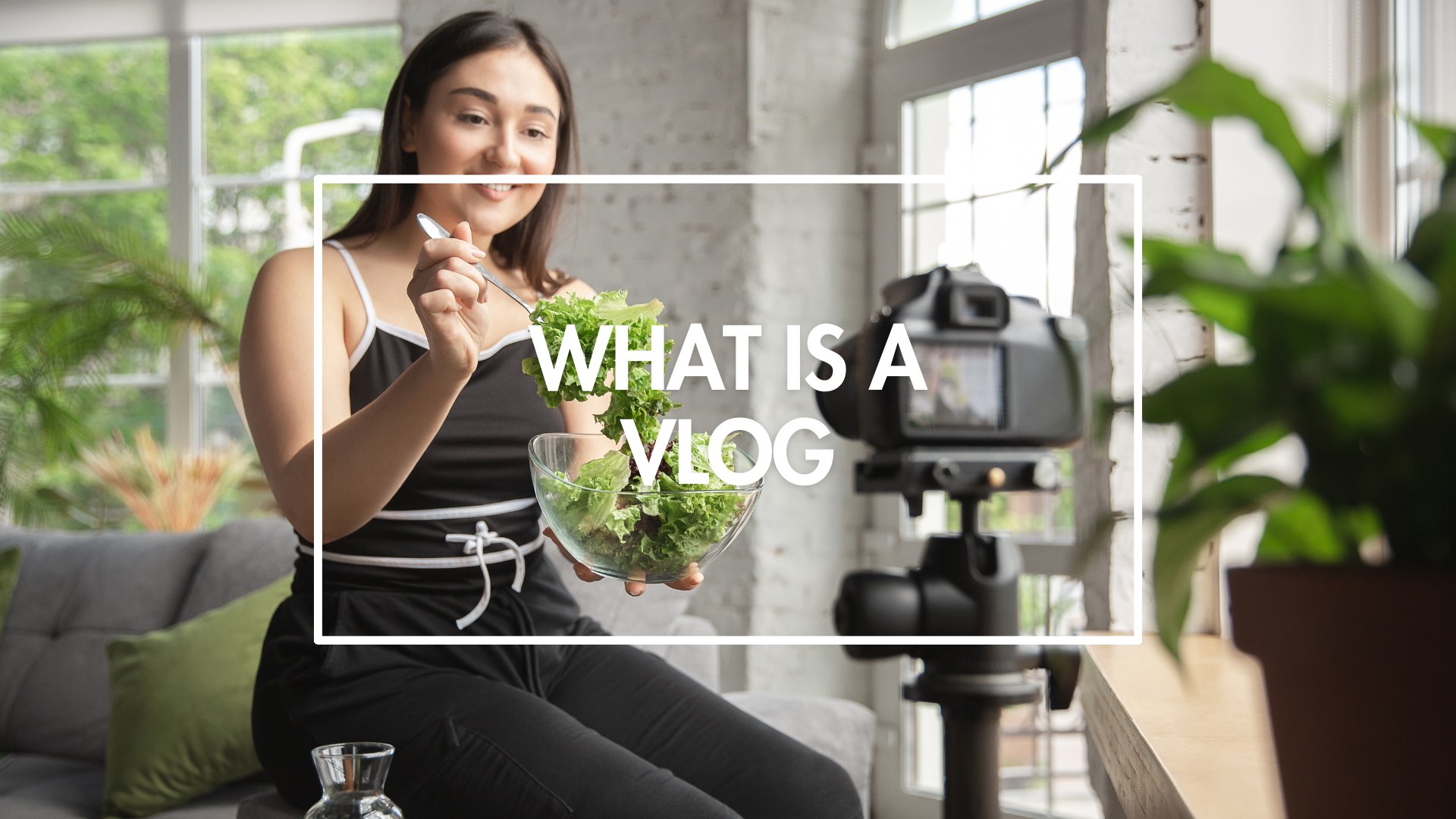what is vlog