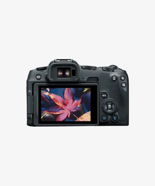 shop canon eos r8 camera