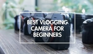 best vlogging cameras for beginners