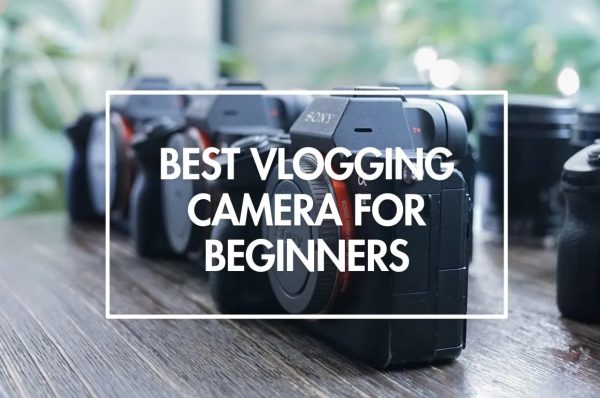 best vlogging cameras for beginners