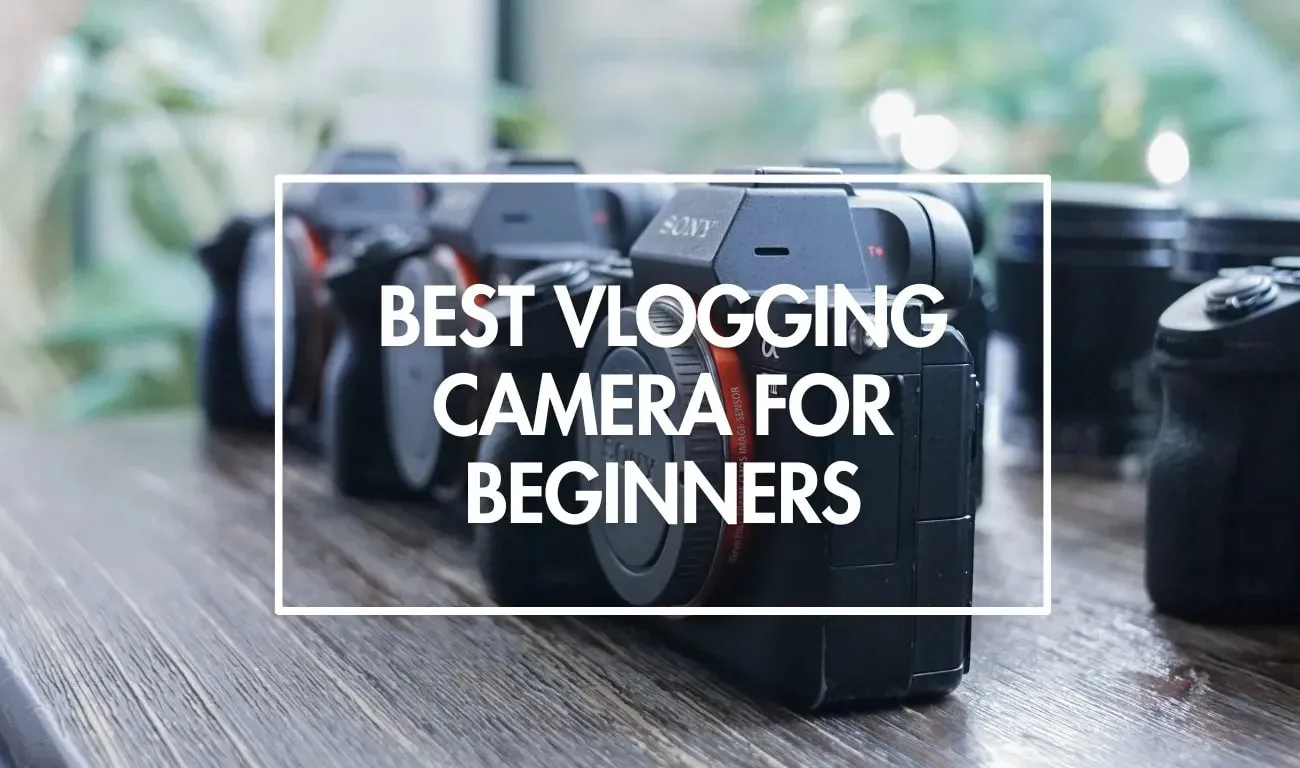 best vlogging cameras for beginners